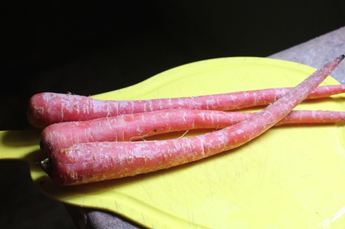 desi carrots