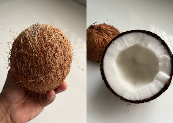 fresh whole coconut and halved coconut