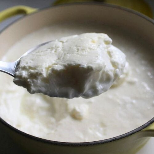 Dhai How to Make Curd (Homemade Yogurt - Dahi Recipe)